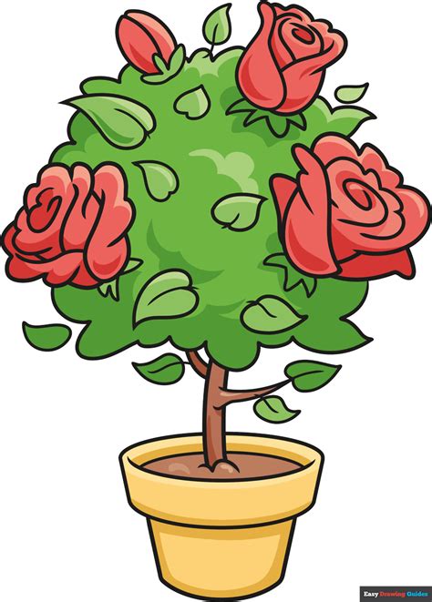 rose bush drawing