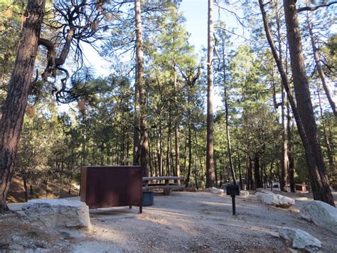 Rose Canyon Campground Secrets Revealed