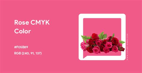 rose color code cmyk