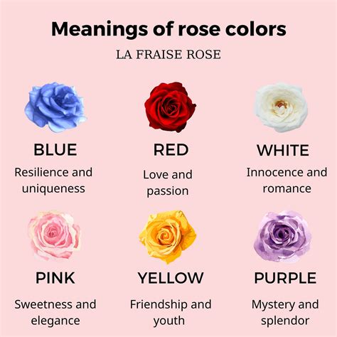 Decoding the Secrets: Rose Colors Meaning Unveiled