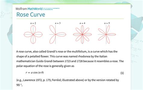 Rose Curve: Hidden Patterns Revealed