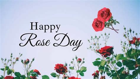 rose day 2024 wishes