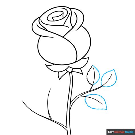 rose day drawing easy