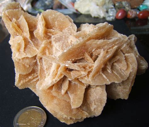 rose des sables maroc