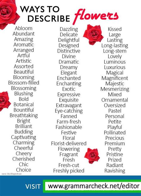 Rose Description Creative Writing