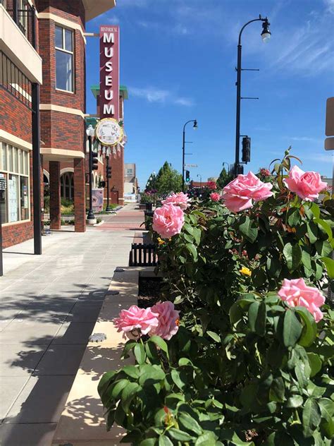 Rose District: Hidden Gem Uncovered