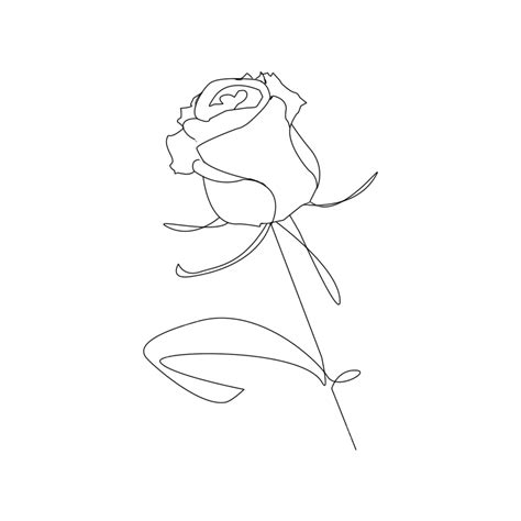 rose drawing aesthetic