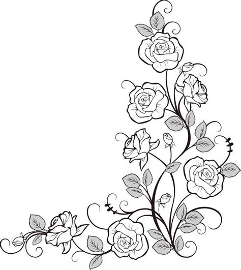 rose drawing border