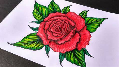 Rose Drawing Color Layering
