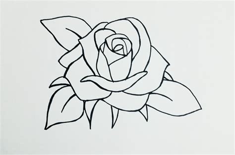 rose drawing for beginners