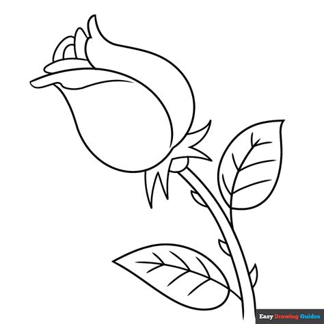 rose drawing free