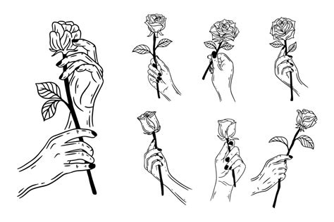 rose drawing hand