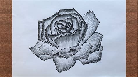 rose drawing in pen