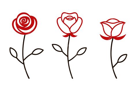 rose drawing minimalist