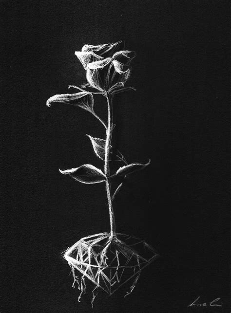 rose drawing on black paper