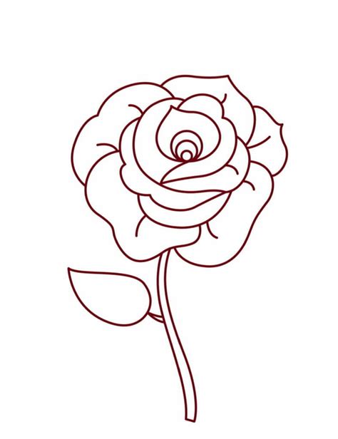 rose drawing on paper