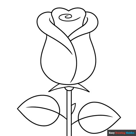 rose drawing printable