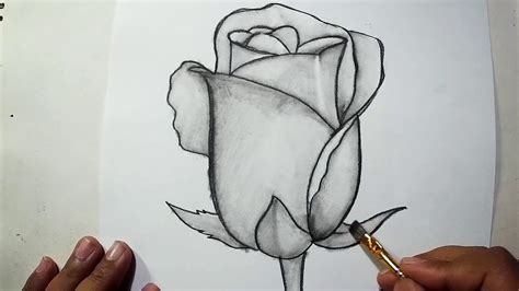 rose drawing shading easy