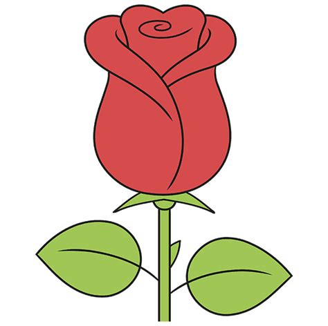 rose drawing simple