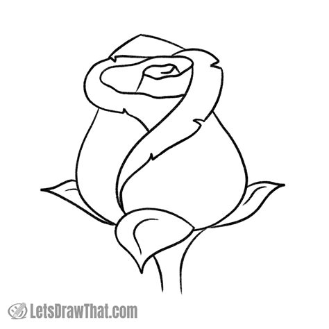 rose drawing template