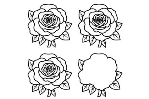 Types of Rose Drawing Templates