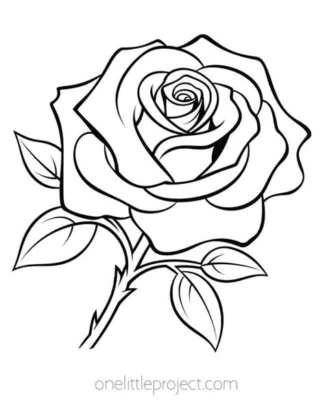 Rose Drawing Templates