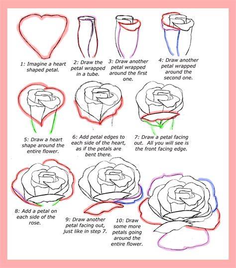 Rose Drawing Tutorial