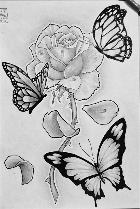 rose drawing with butterfly