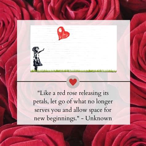 rose drawing with quotes