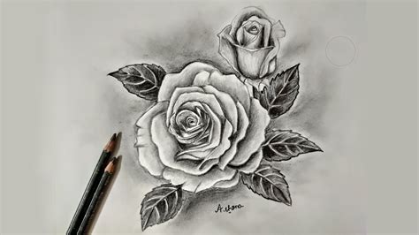 rose drawing with shading