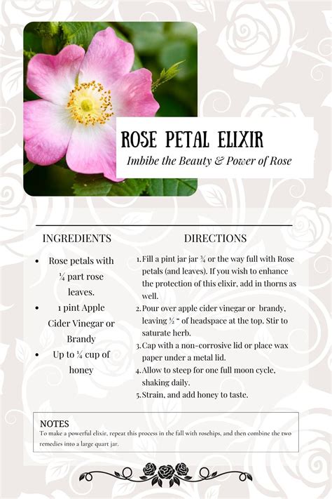 Rose Elixir Recipe