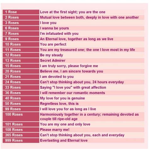 Rose Flower Quantity Meaning