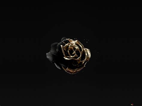 Rose Gold Black Background