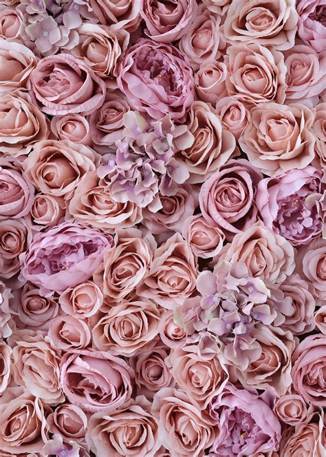 Rose Hydrangea Peony Flower Wall