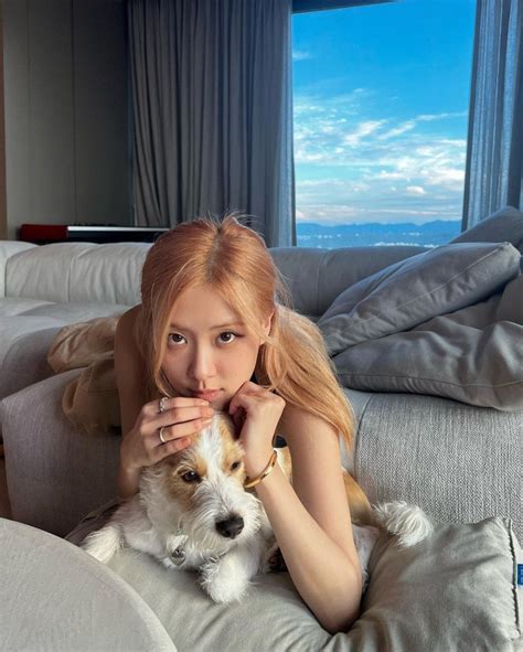 Rose I Like The View