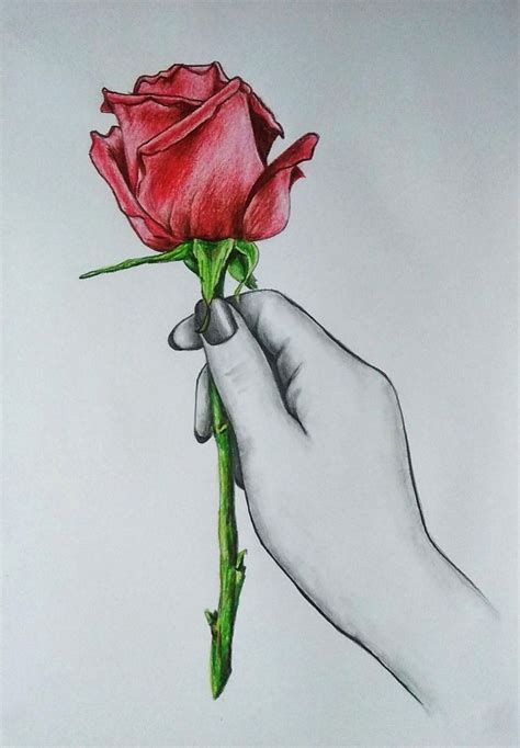 Rose In Hand Drawing