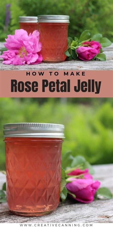 rose jelly free