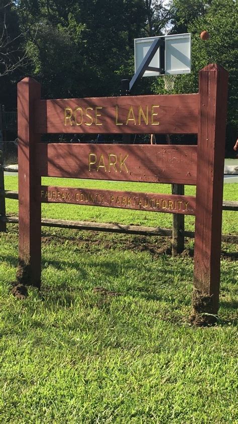 Rose Lane Park: Hidden Gem Explored!