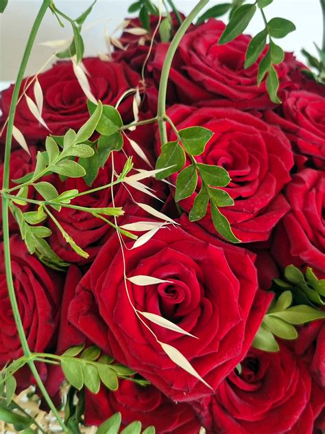 Discover the Intricacies and Beauty of Rose Monte: A Guide