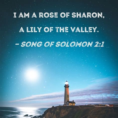 The Mystery Behind the Rose of Sharon Bible: Unveiled Secrets