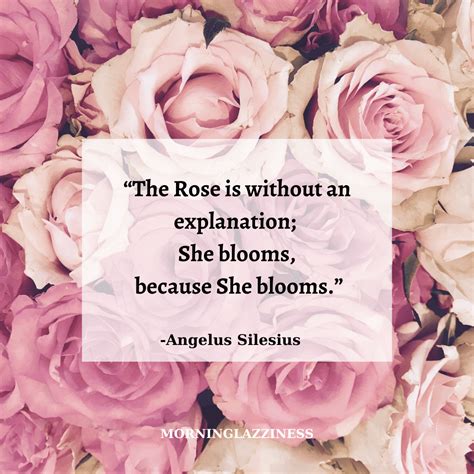 Best Rose Quotes: Timeless Inspiration for Your Garden