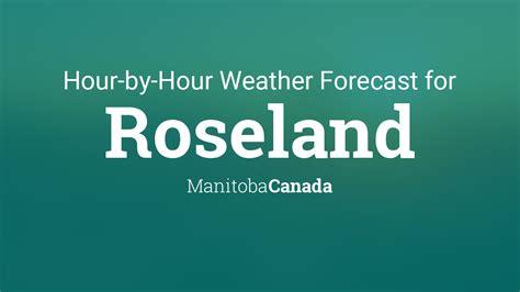Roselands Weather Forecast