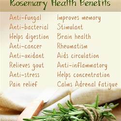 Rosemary And Mint Benefits