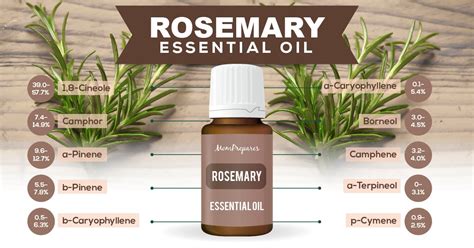 rosemary essential oil latin name