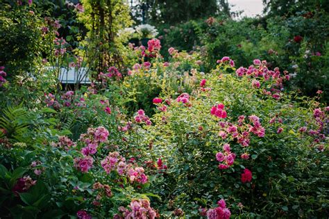 Rosen Garten Secrets: Unveil the Hidden Benefits Today