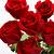 roses for lovers images