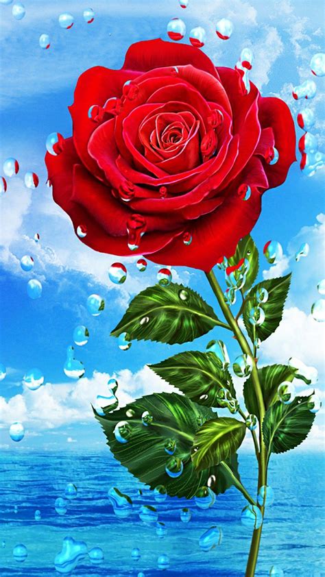 Roses hd wallpapers for android mobile