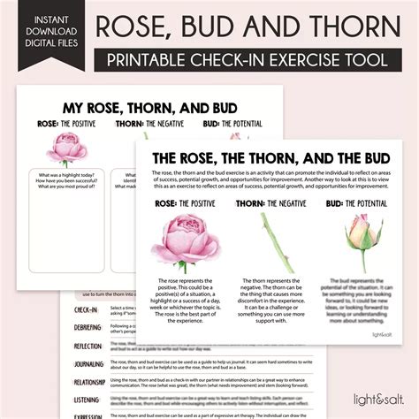 Roses And Thorns Exercise