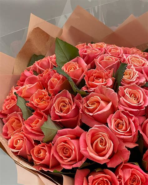 Roses Delivery Wroclaw