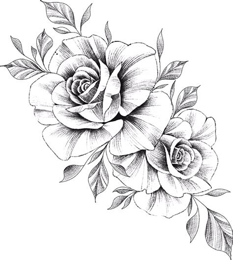 Roses Drawing Tattoo
